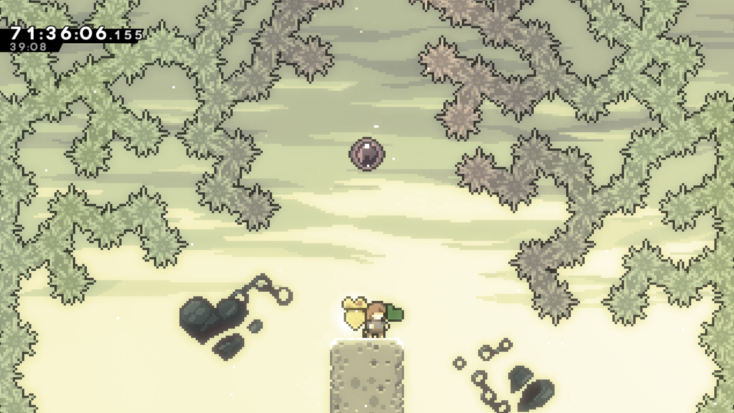 farewell golden berry